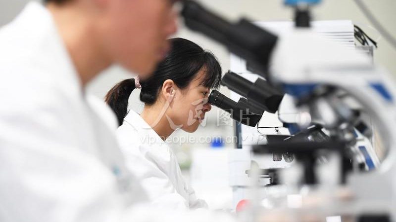 实验用耗材与普通办公耗材：揭秘二者间的关键差异