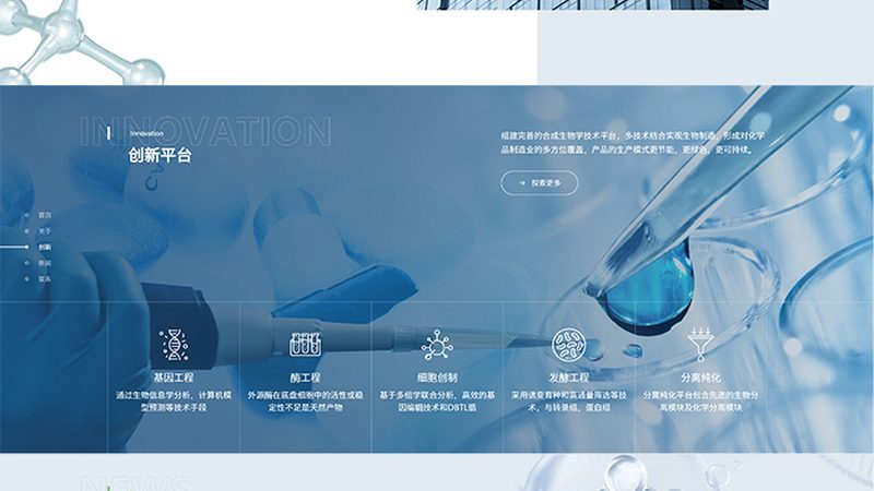 无血清细胞培养：揭秘关键步骤与注意事项**
