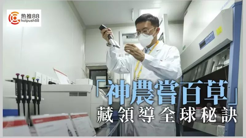 认识误区：价格与品质的等价关系