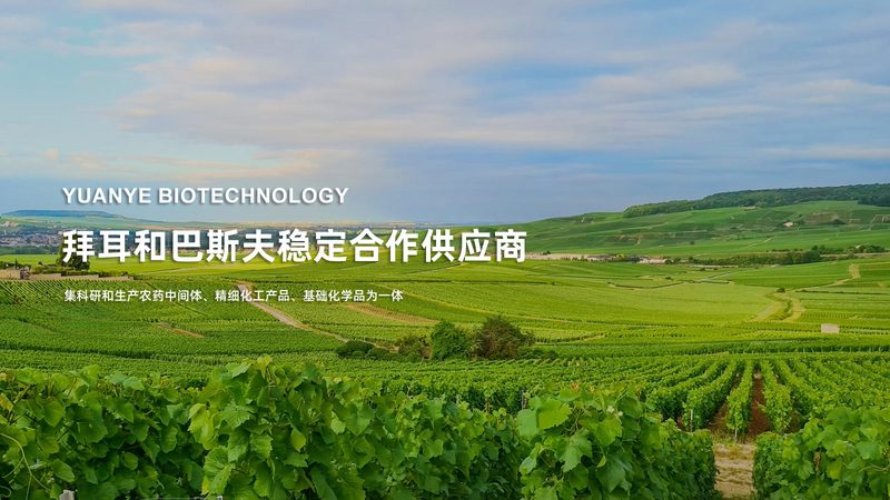 食品级酶制剂，不只是“能吃”这么简单