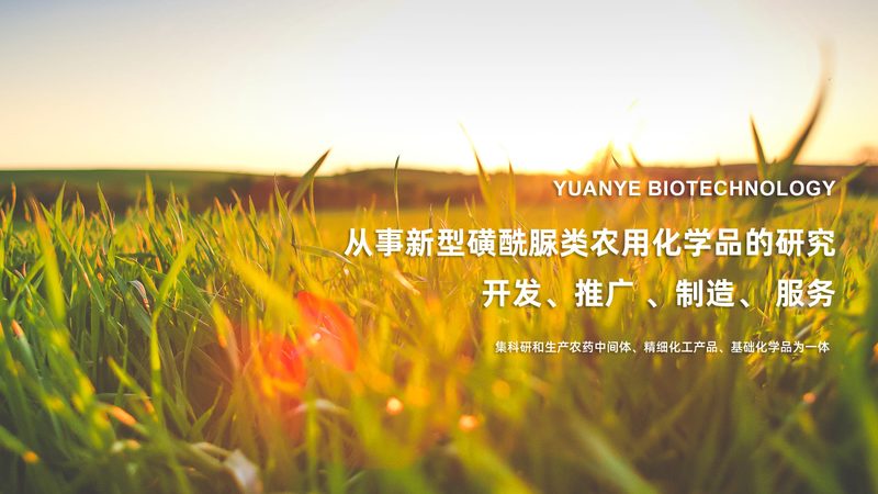 PS材质与PC材质细胞工厂：性能与选择的差异解析**
