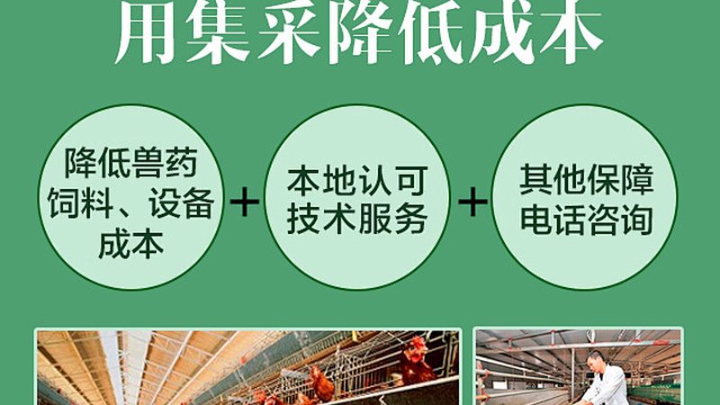 疫苗生产企业排名背后的考量因素**