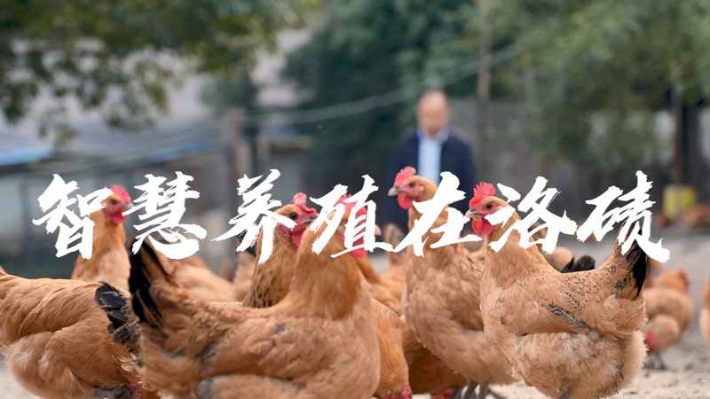 基因测序服务报价差异，核心在于定制化程度
