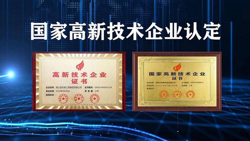 大分子CDMO：揭秘生物制药领域的“幕后英雄”**