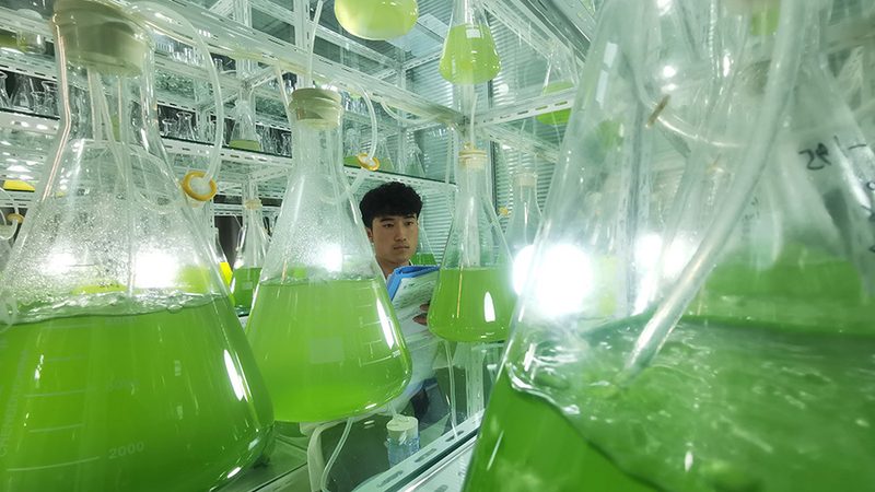 基因检测机构技术优势：如何识别上海机构的差异化竞争力**